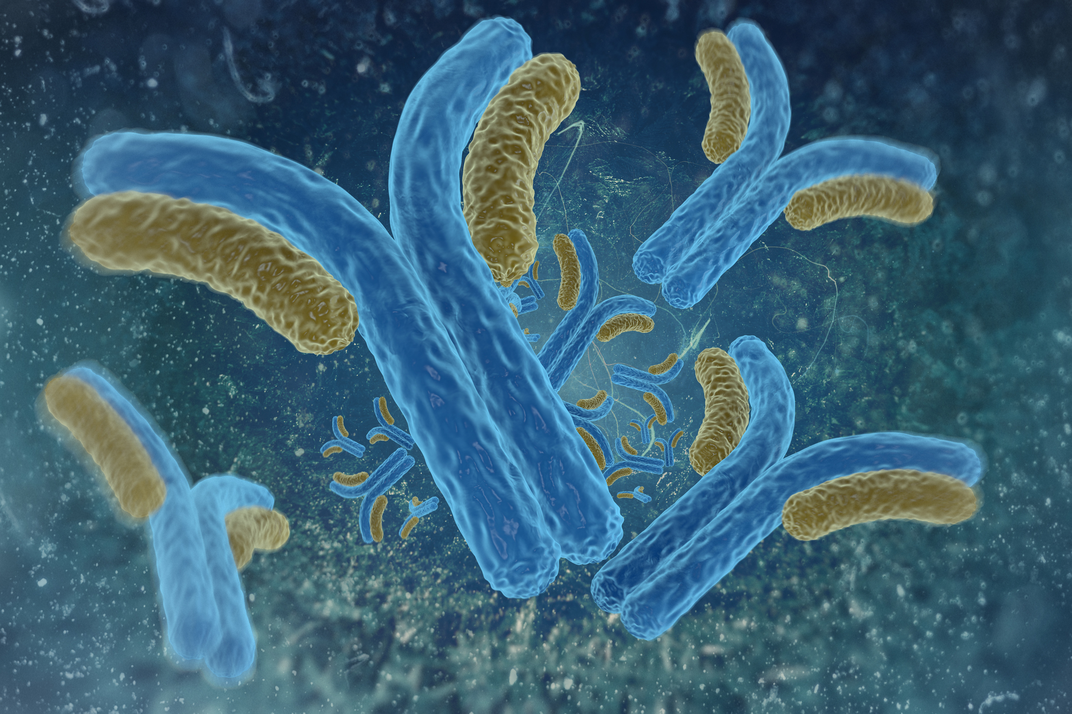 ANTIBODIES ANTIBODIES