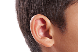 Ear Implant for Reconstruction