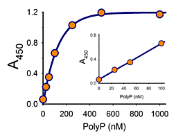 A450 VS POLYP