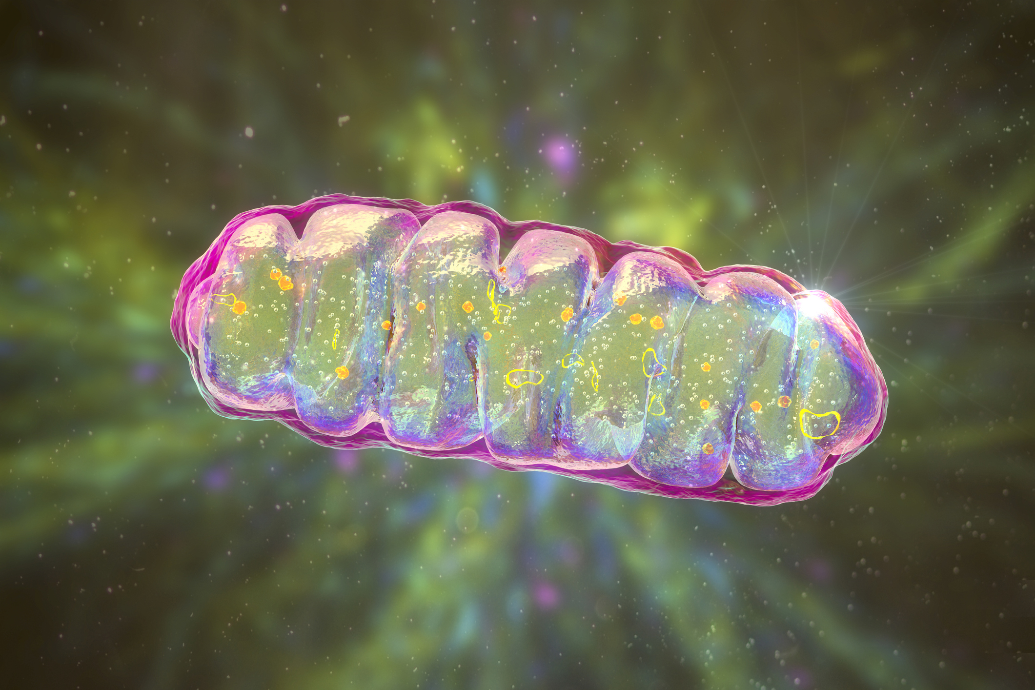 Mitochondrial Targeting Compounds for the Treatment of Associated Diseases