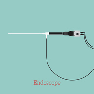 ENDOMICROSCOPE