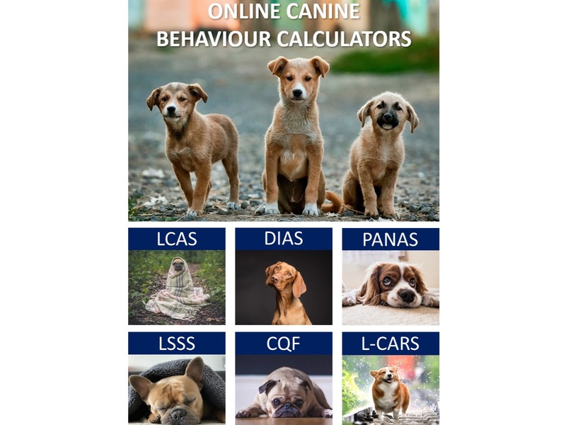 Online Canine Behaviour Calculators