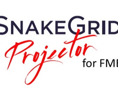 SnakeGrid Projector for FME Server