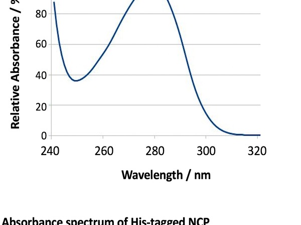 Absorbance spectrum of His tagged NCP