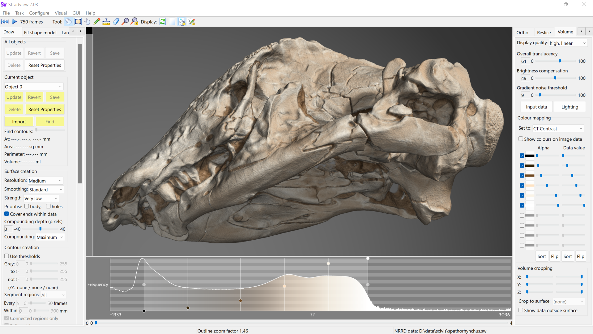 Volume rendering for micro-CT