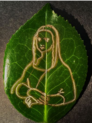 Figure 1: Copper image printed on a leaf Copper image printed on a leaf