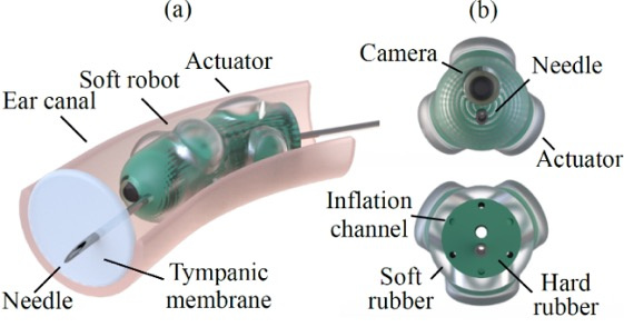 Figure 1 Figure 1