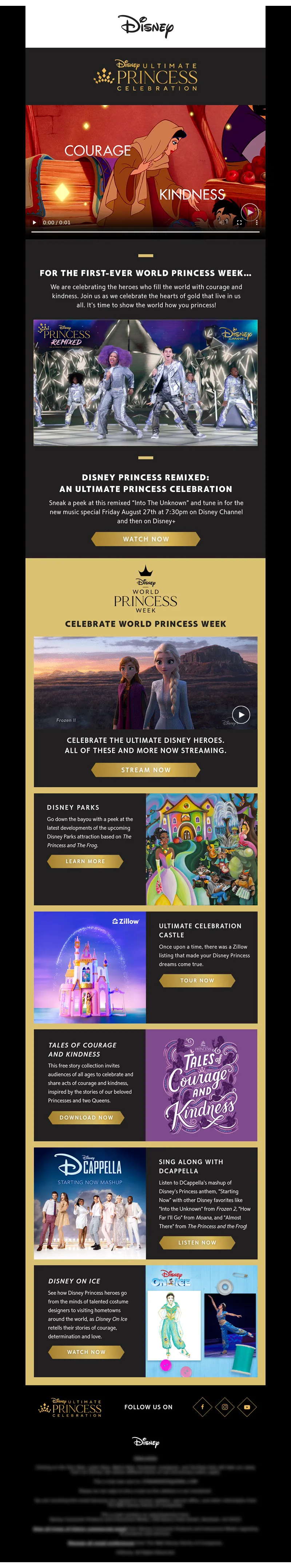 Email Screenshot