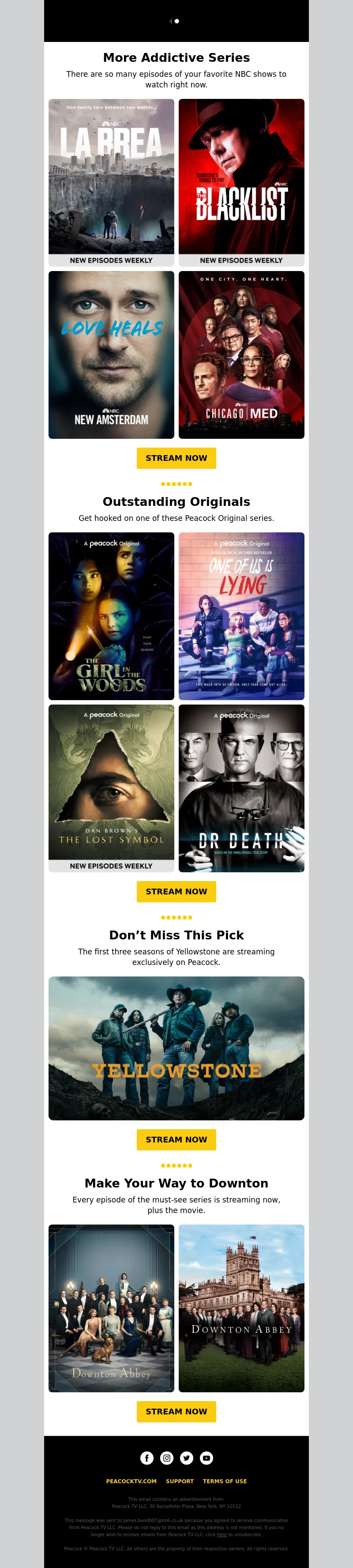 Email Screenshot
