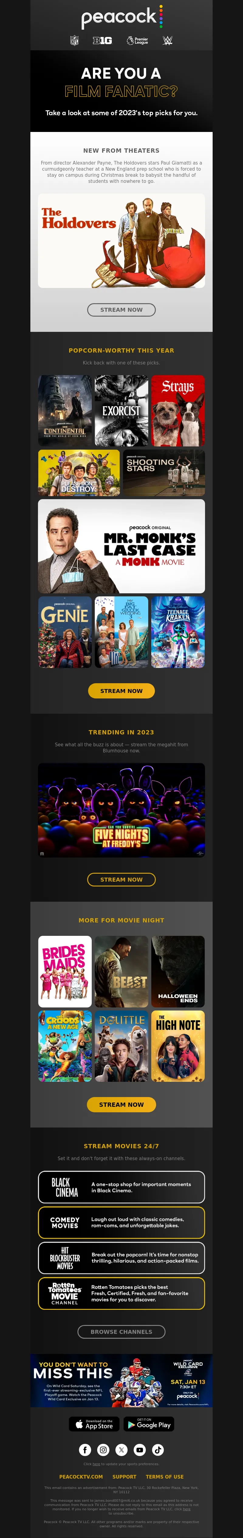 Email Screenshot