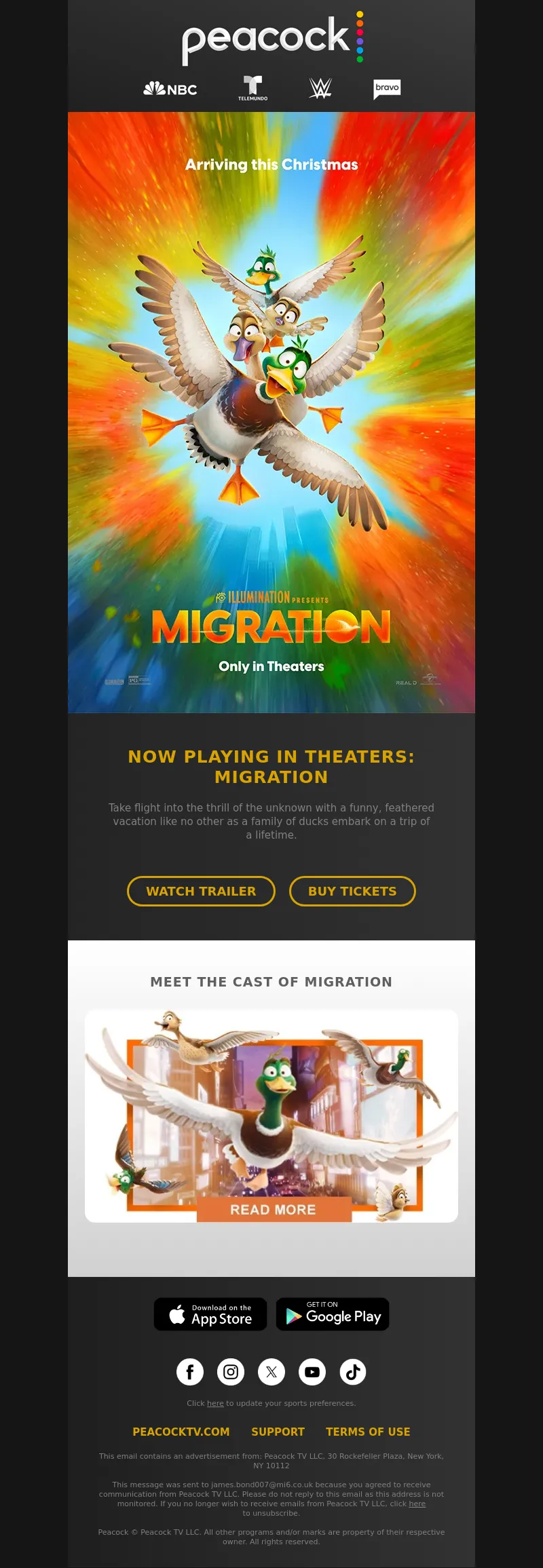 Email Screenshot