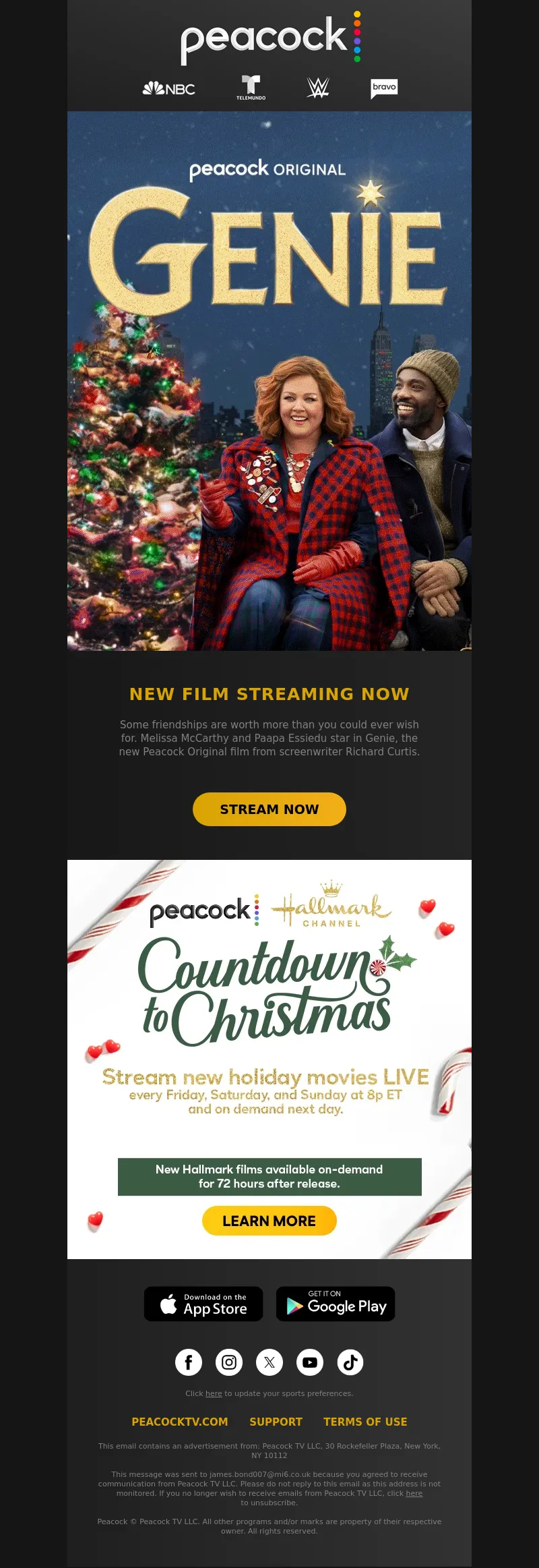 Email Screenshot