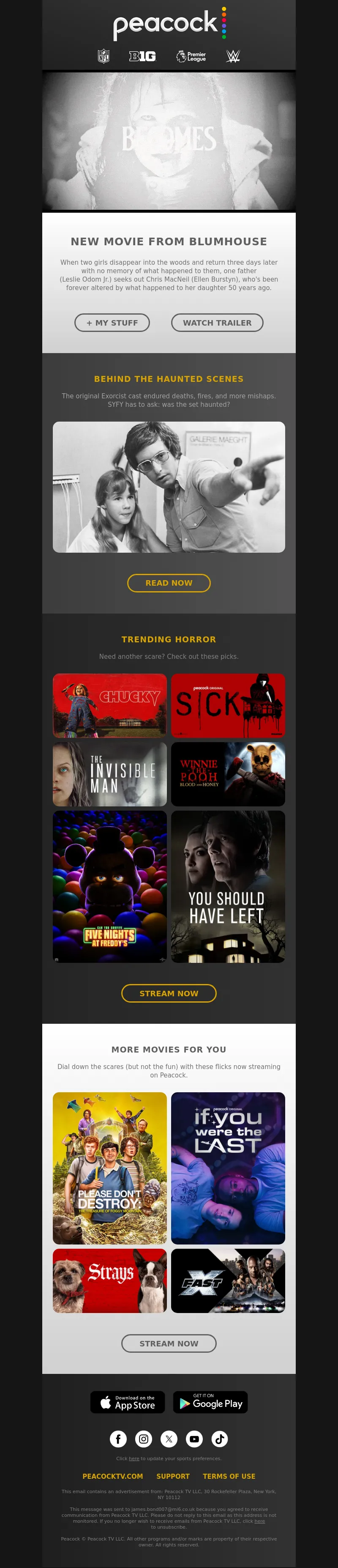 Email Screenshot