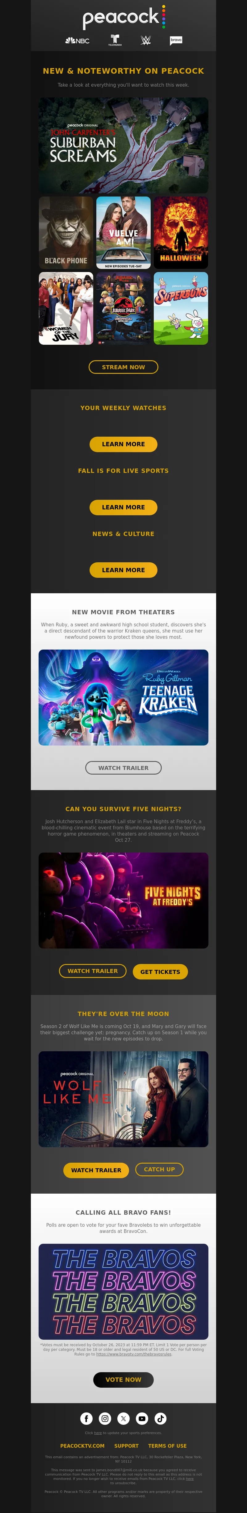 Email Screenshot