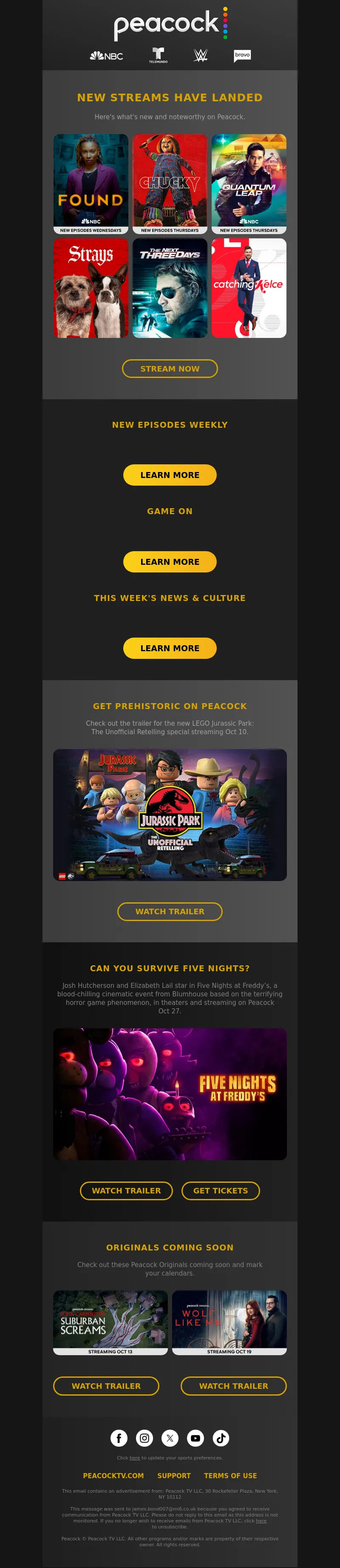 Email Screenshot