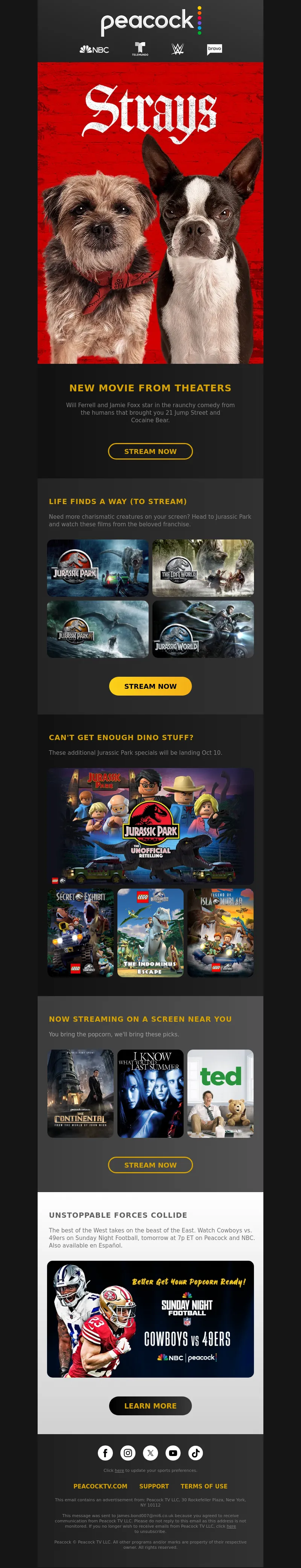 Email Screenshot