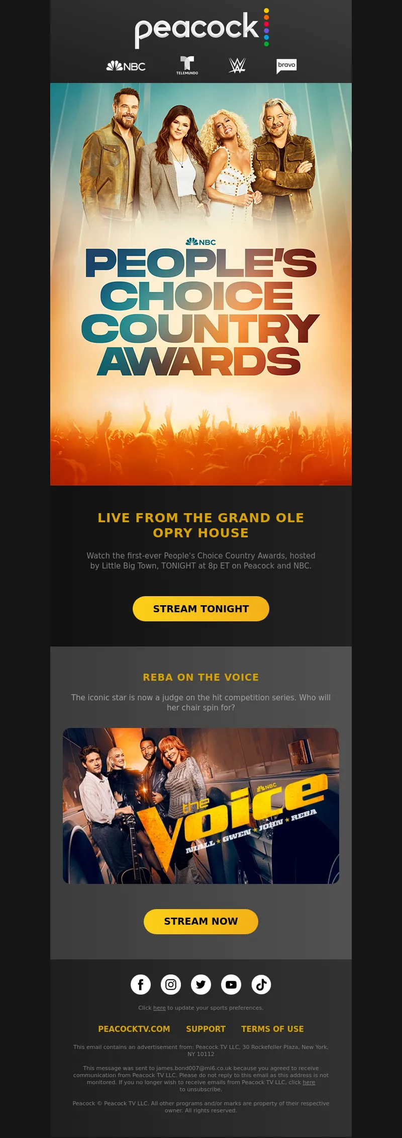 Email Screenshot