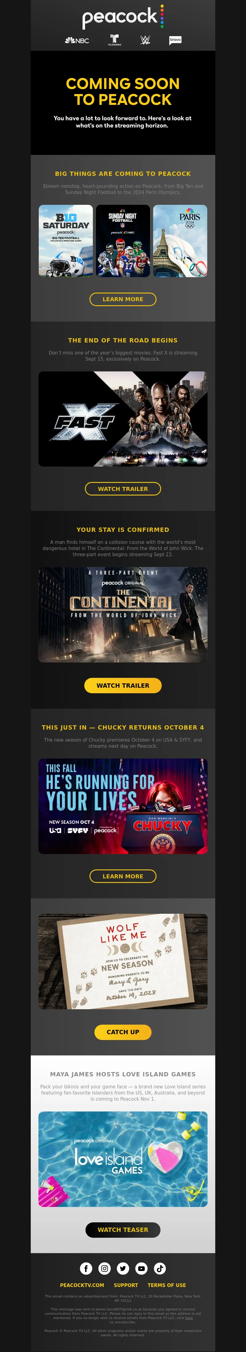 Email Screenshot
