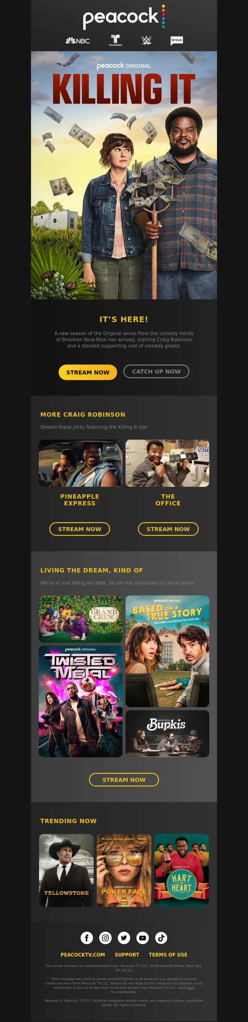 Email Screenshot