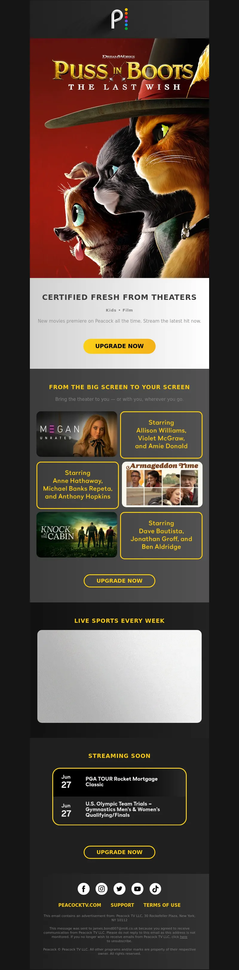Email Screenshot