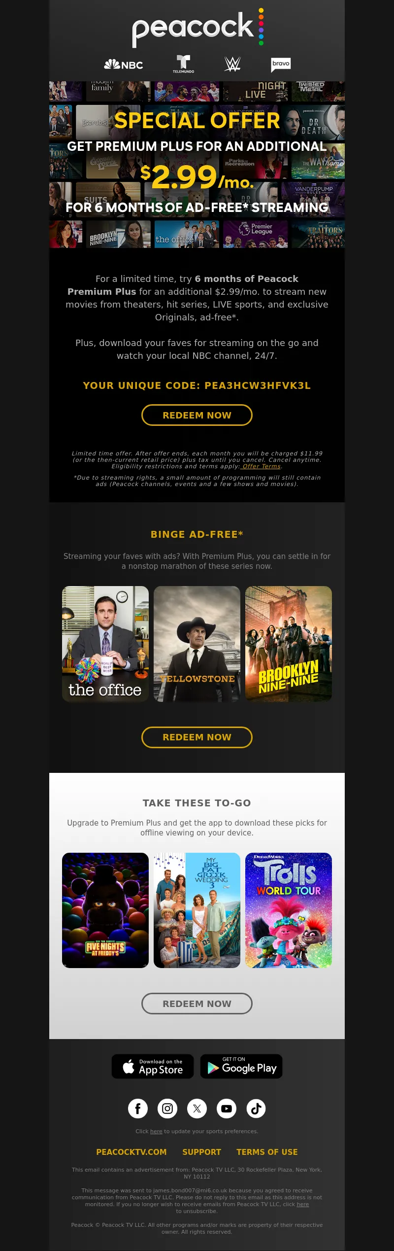 Email Screenshot