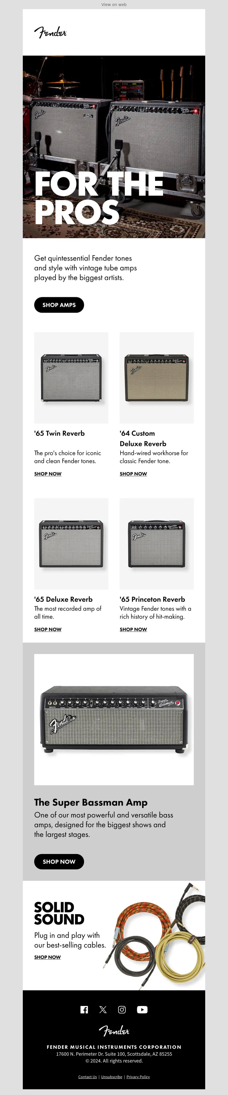 Email Screenshot