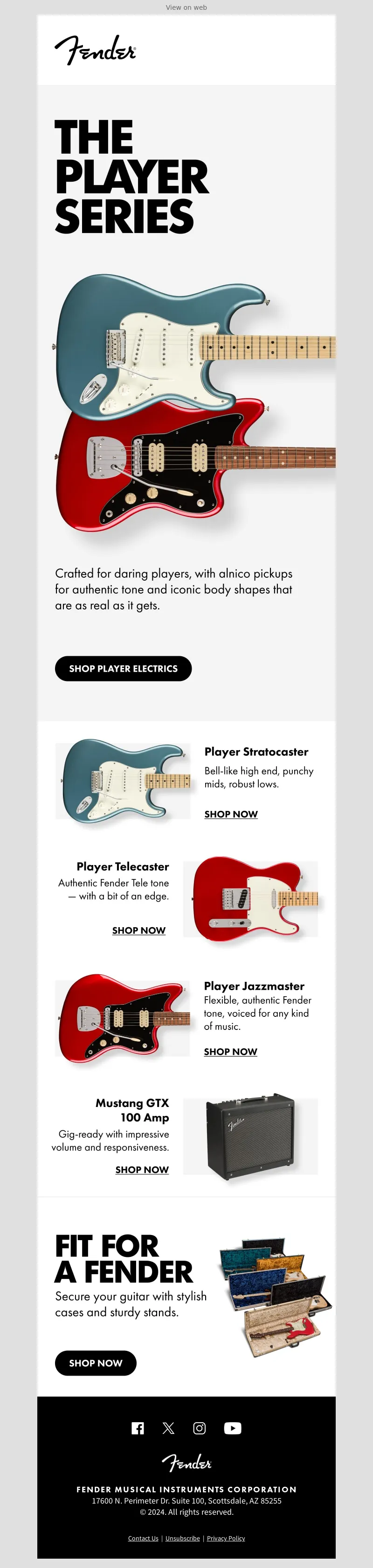 Email Screenshot