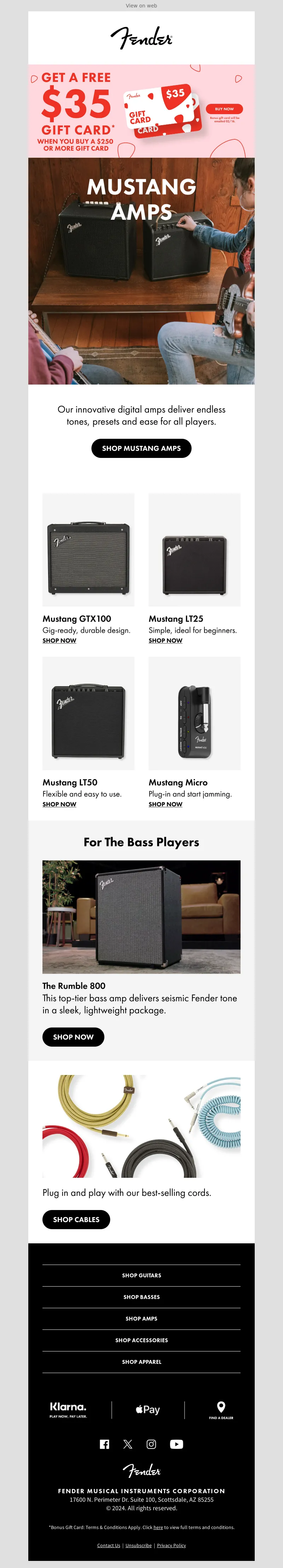 Email Screenshot