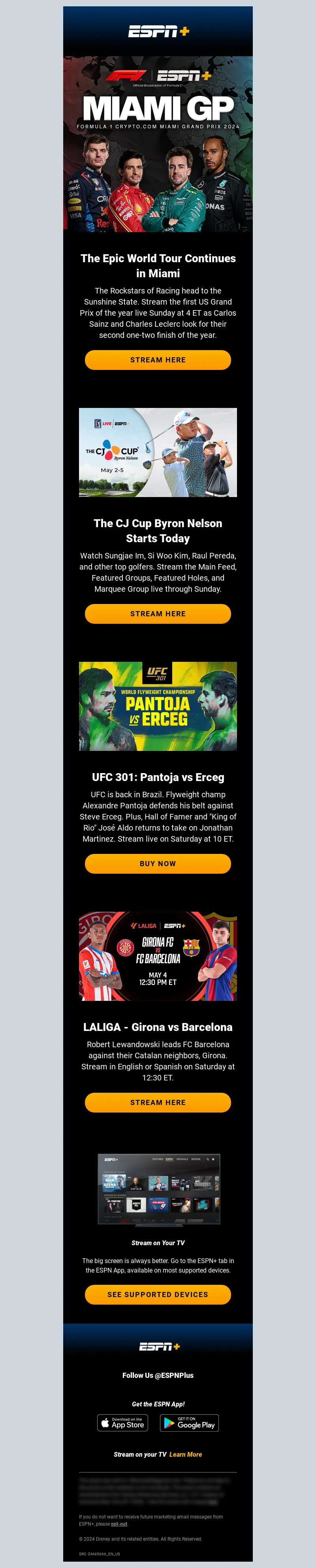 Email Screenshot