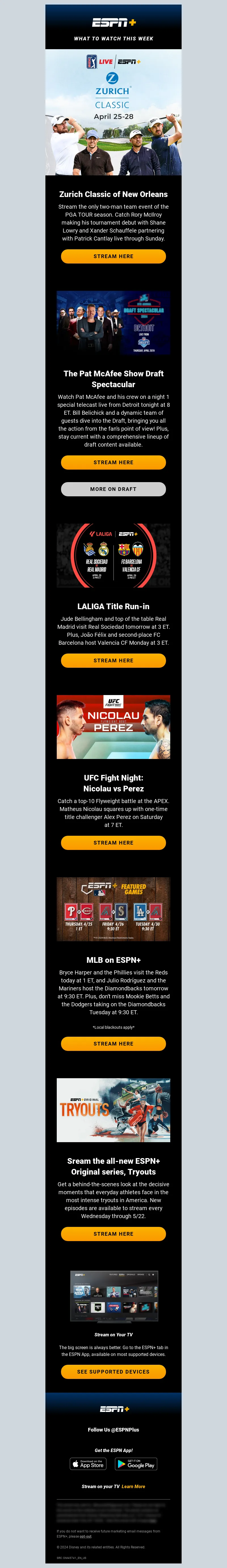 Email Screenshot
