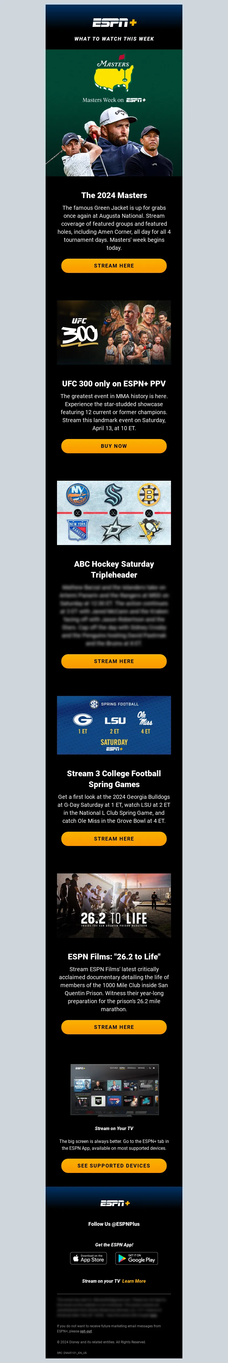 Email Screenshot