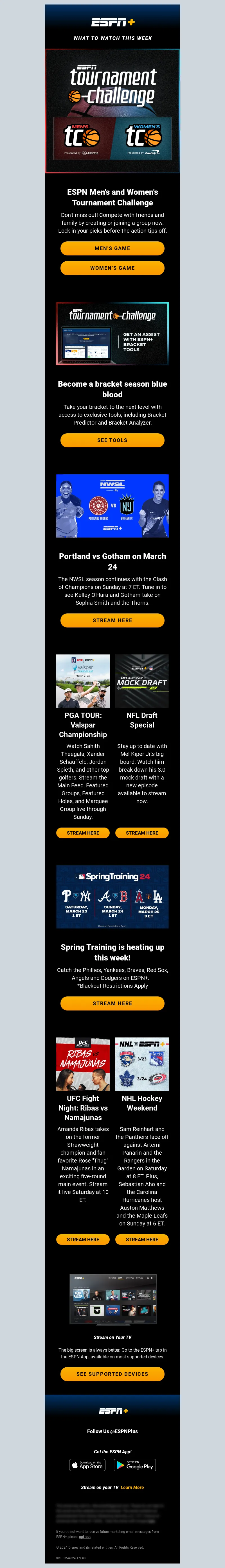 Email Screenshot