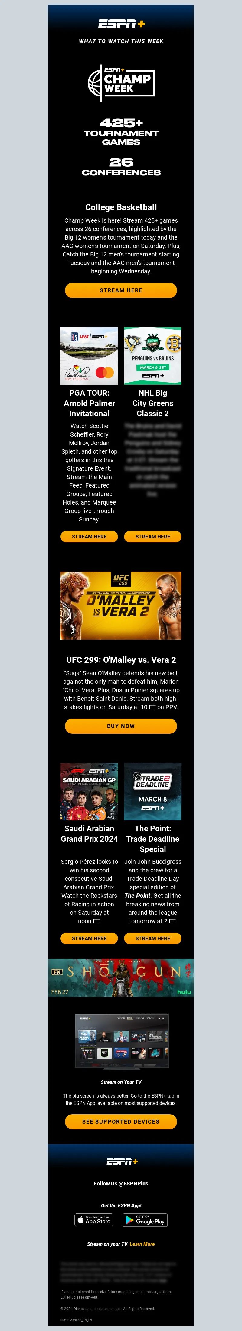 Email Screenshot