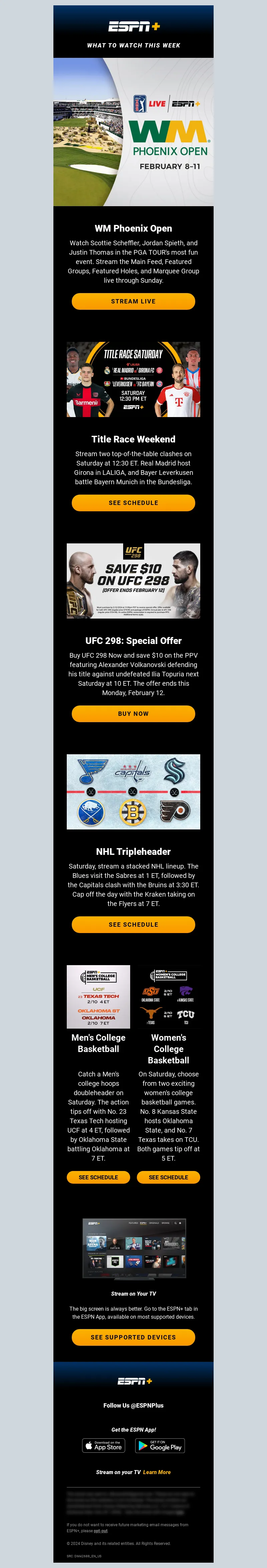 Email Screenshot