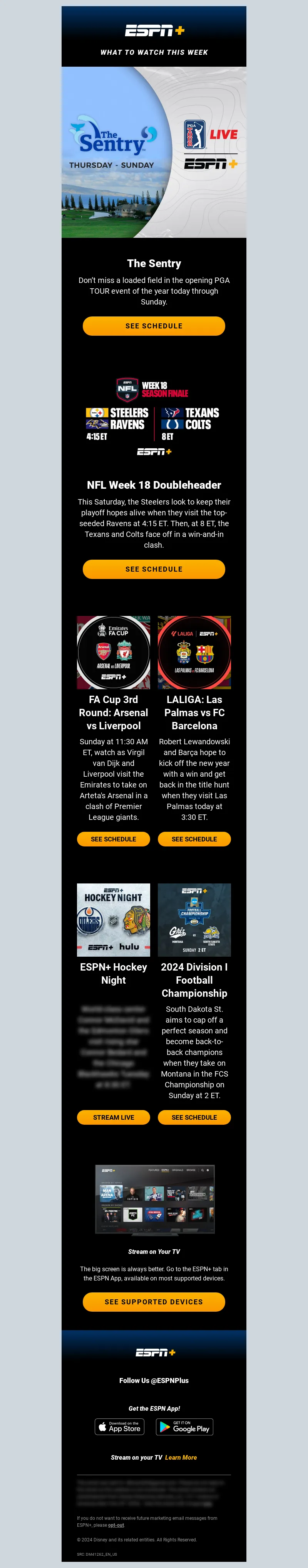 Email Screenshot