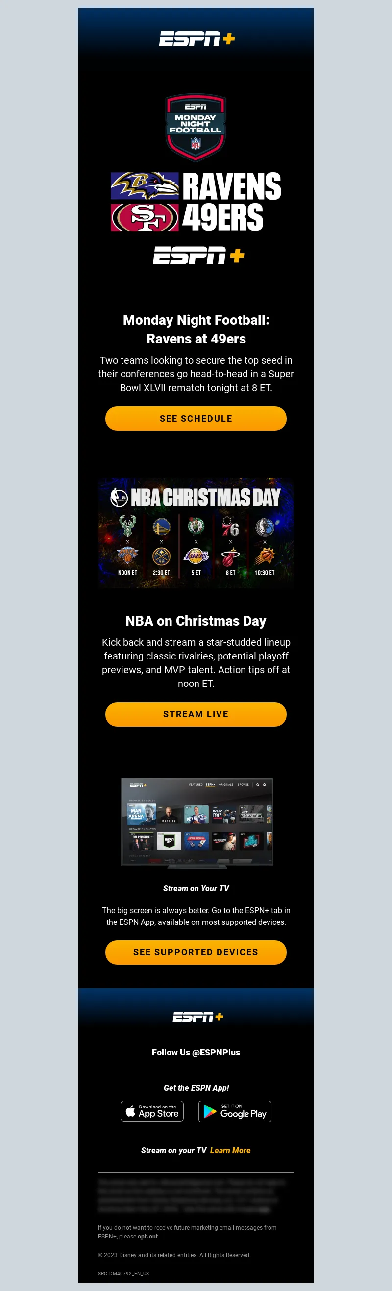 Email Screenshot