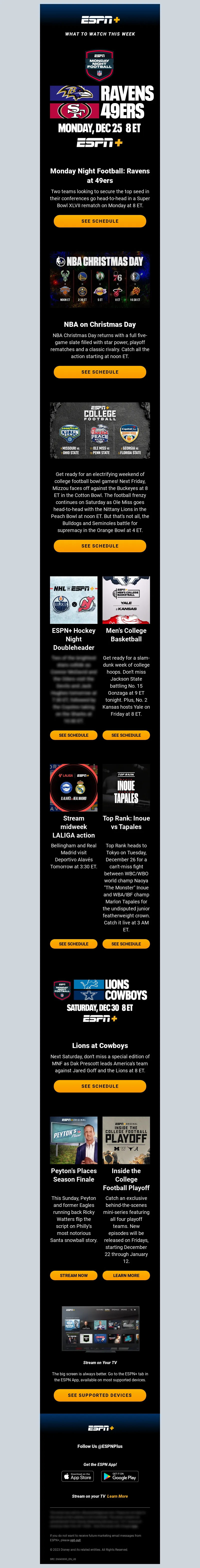 Email Screenshot