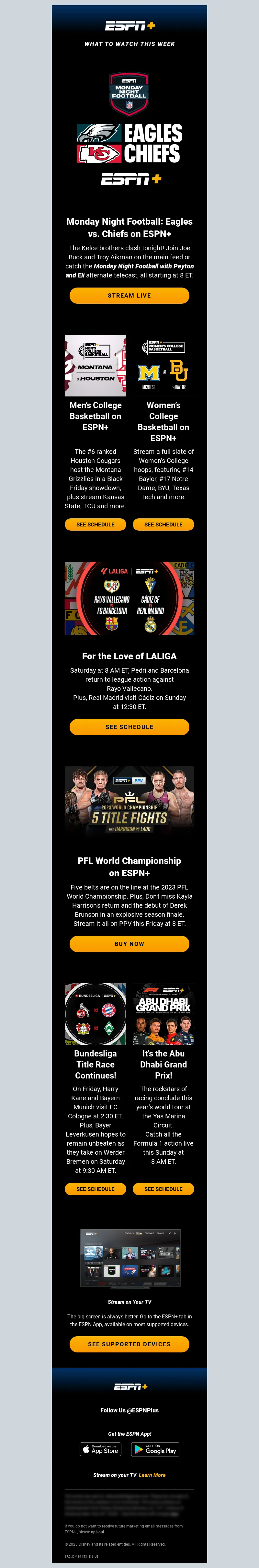 Email Screenshot