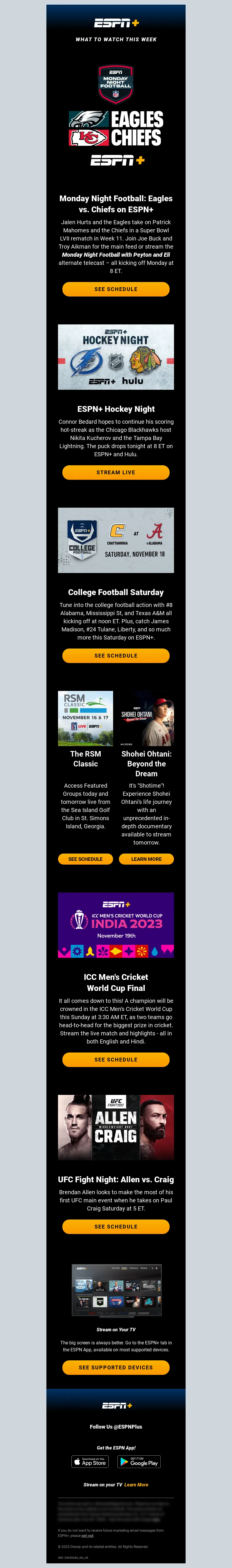 Email Screenshot