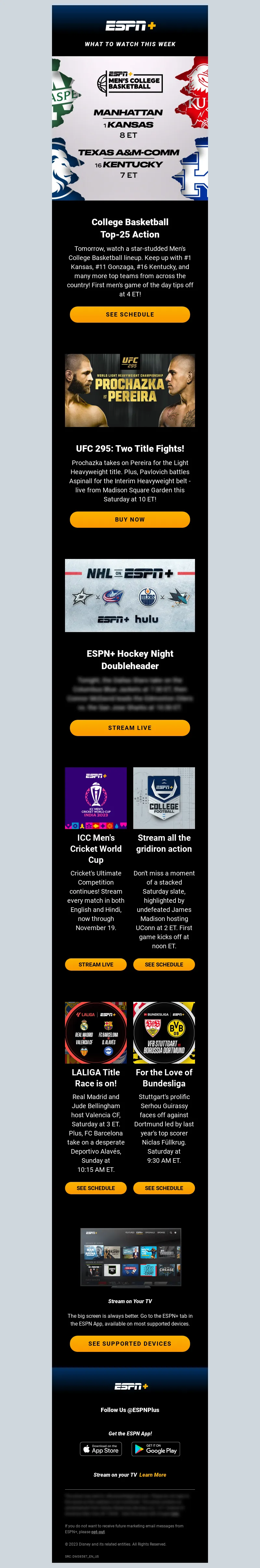Email Screenshot