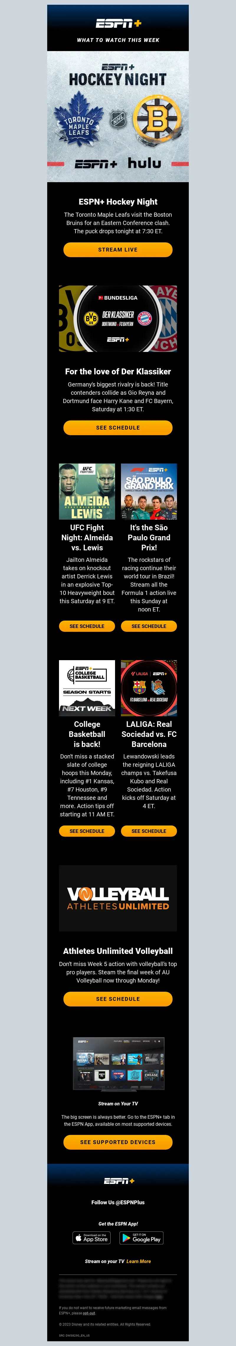 Email Screenshot