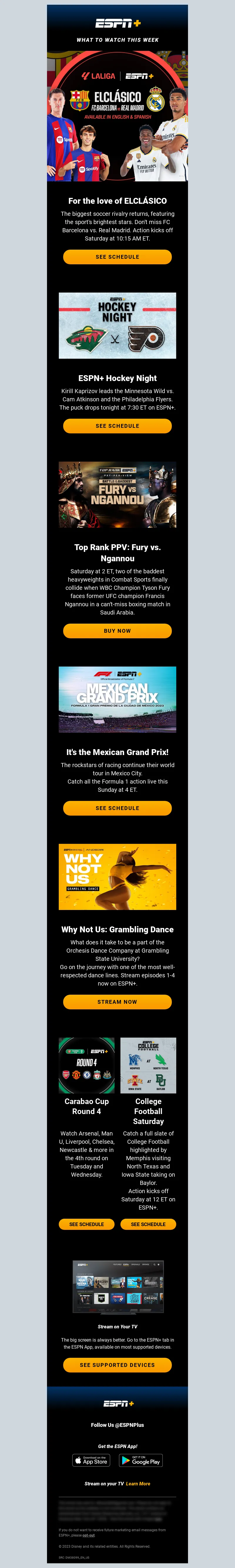 Email Screenshot