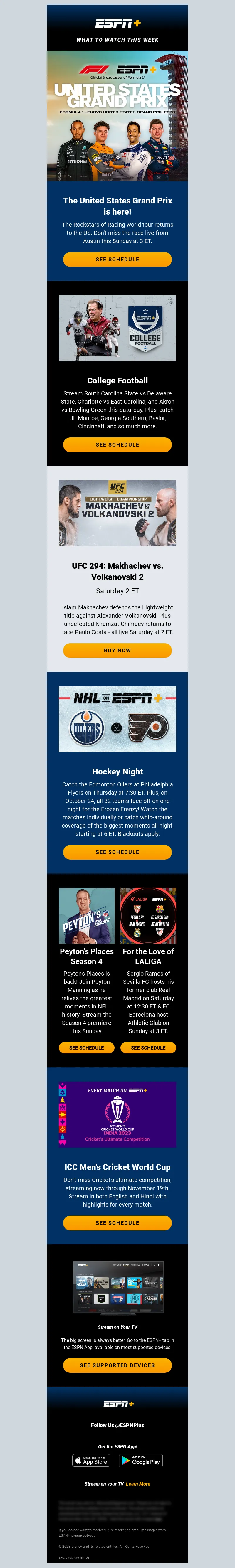 Email Screenshot