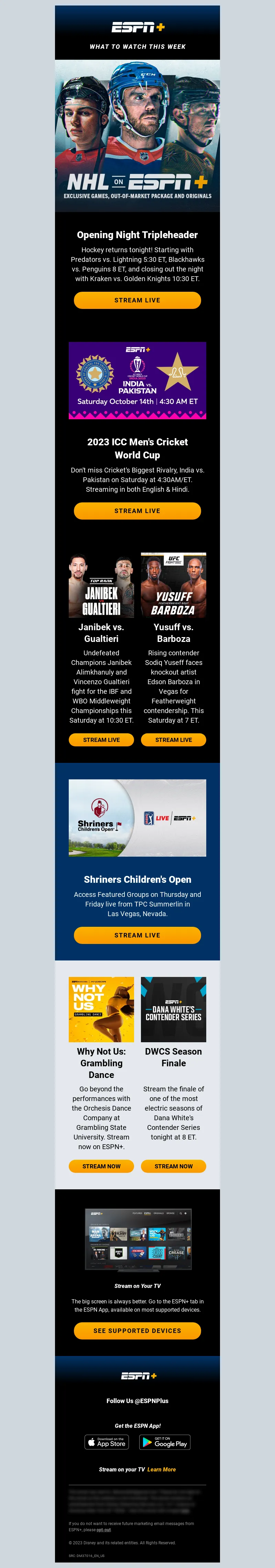 Email Screenshot