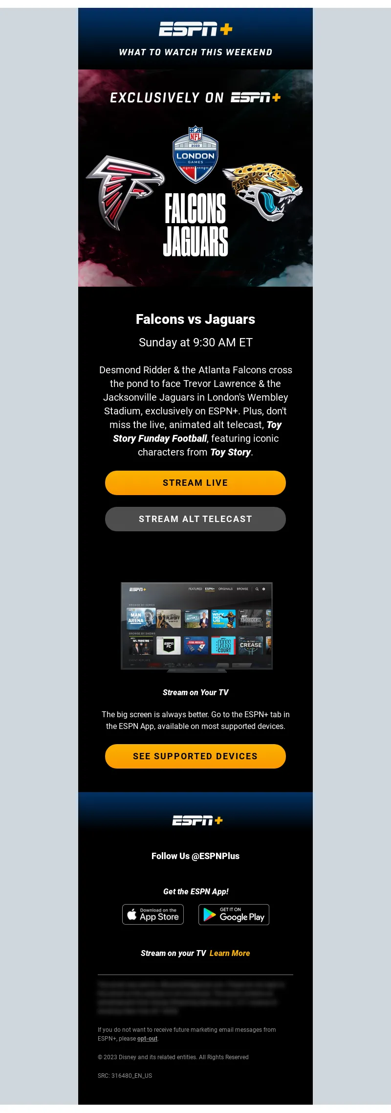 Email Screenshot