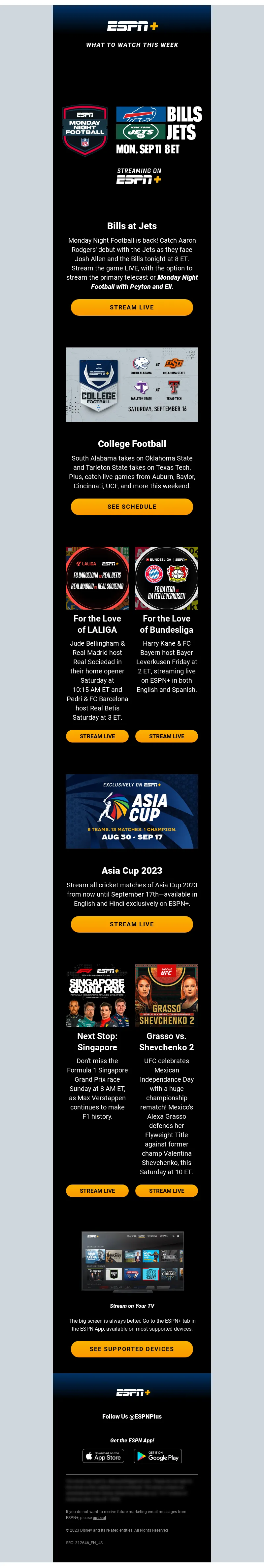 Email Screenshot