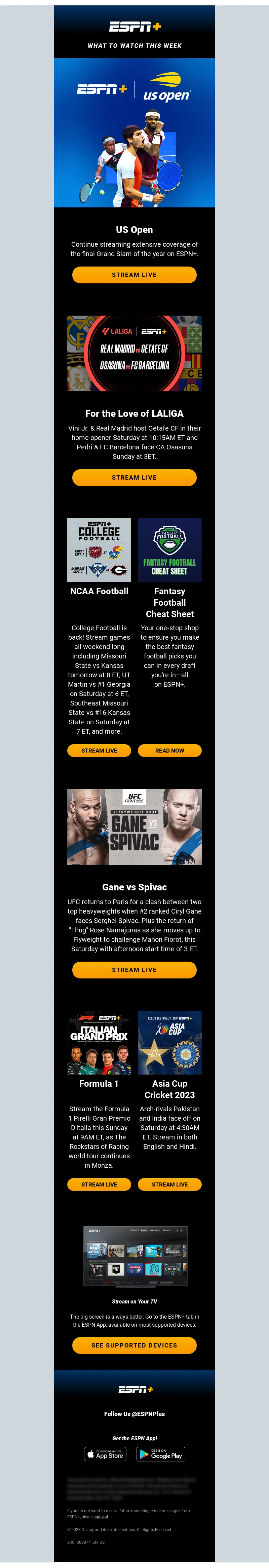 Email Screenshot