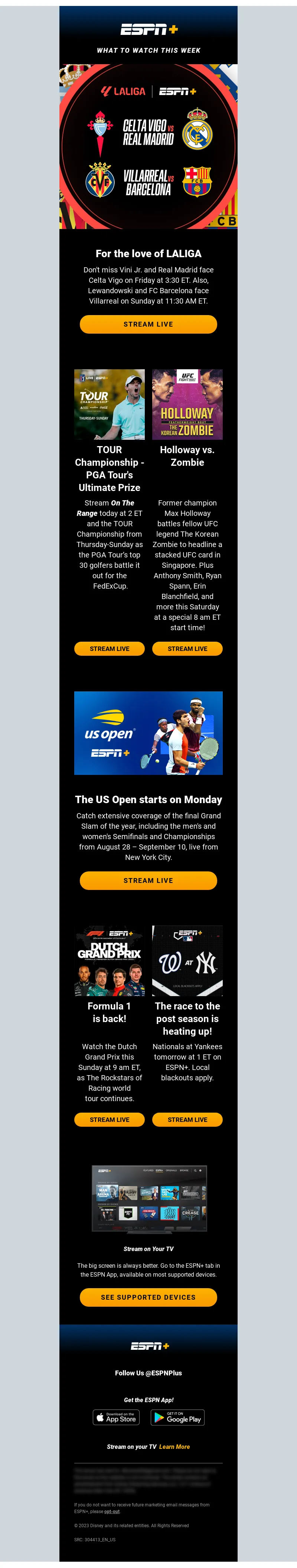 Email Screenshot