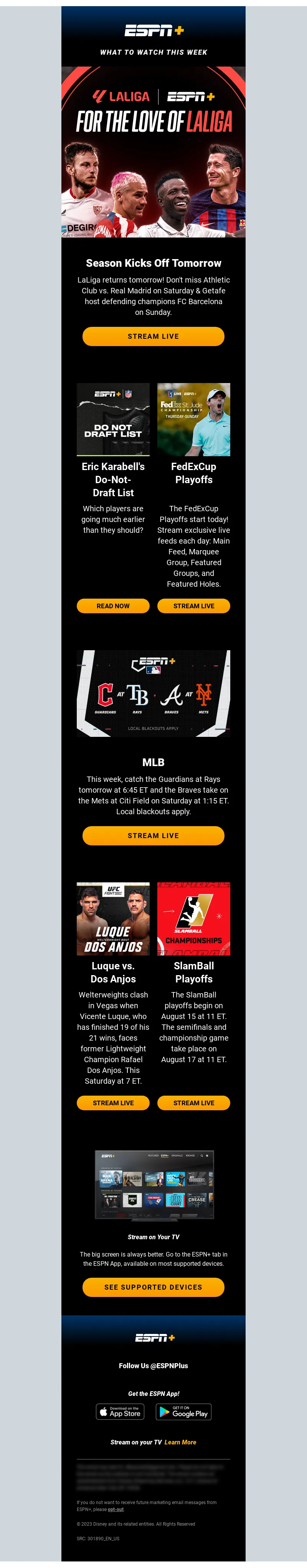 Email Screenshot