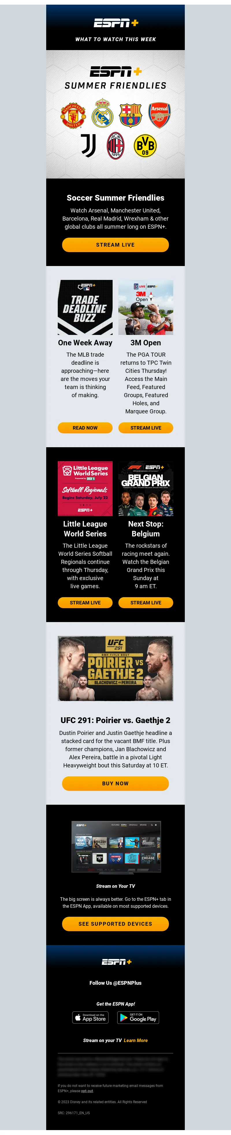 Email Screenshot